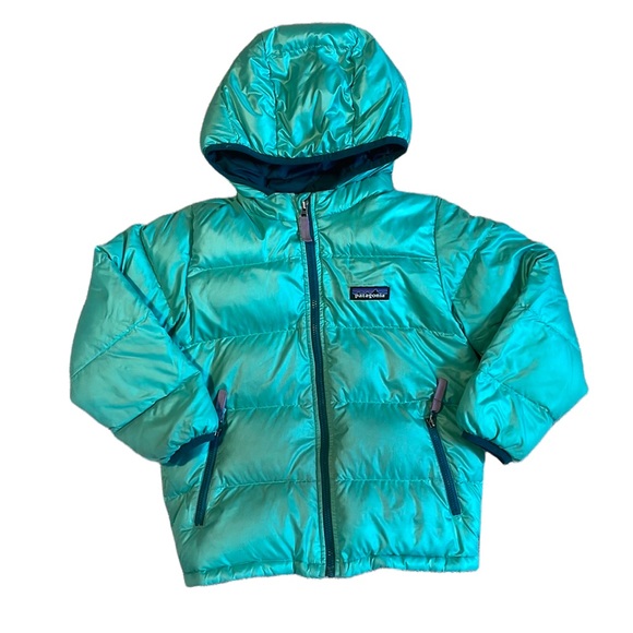 Patagonia Other - ⭐️Patagonia Hi Loft Jacket⭐️